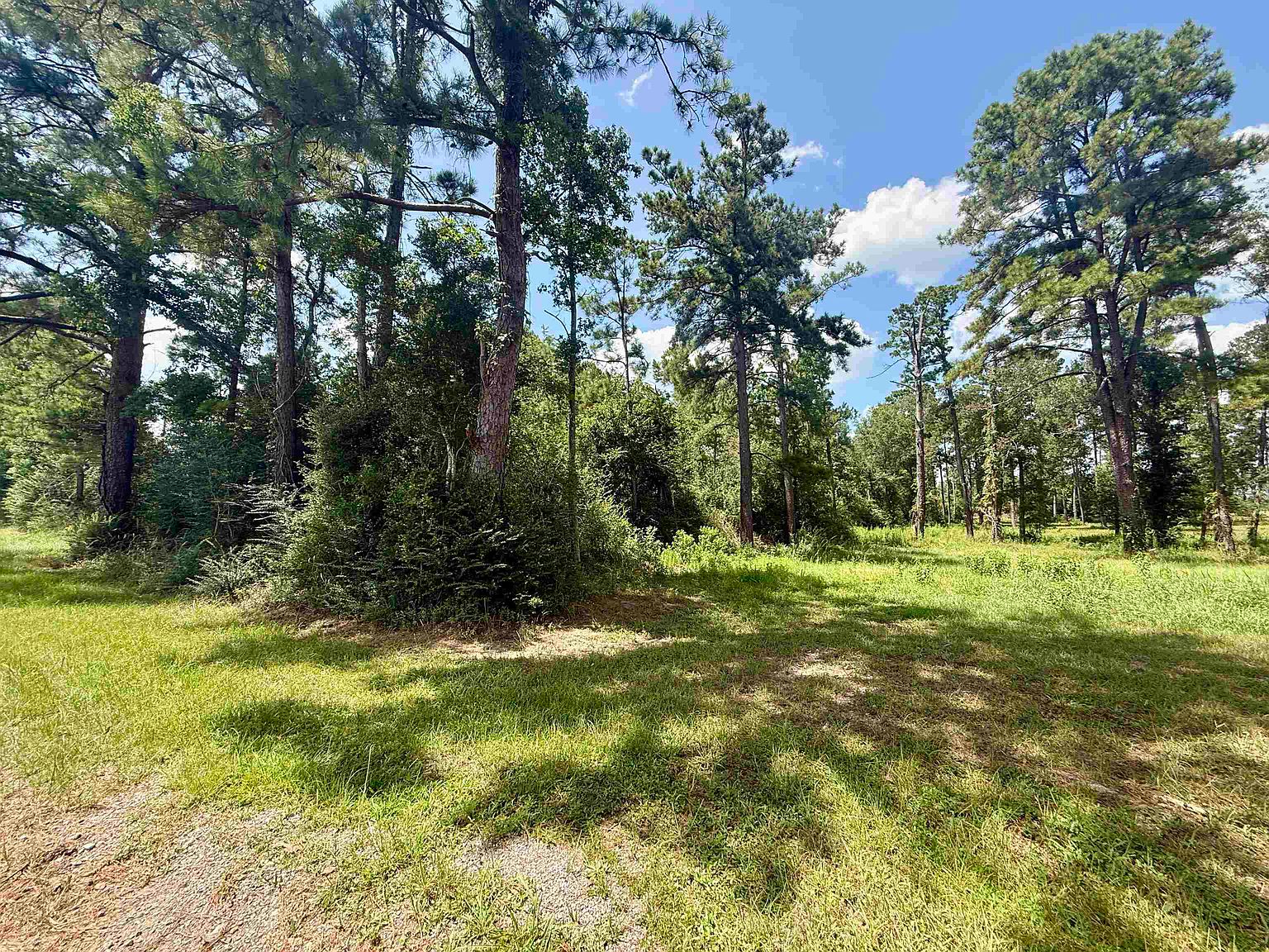 0 Bob Hayes Rd, Deridder, LA 70634 | MLS #SWL25101524 | Zillow