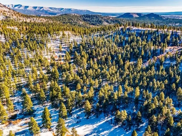 TBD Lot 13 Beaver Creek Ranch Drive, Bayfield, CO 81122