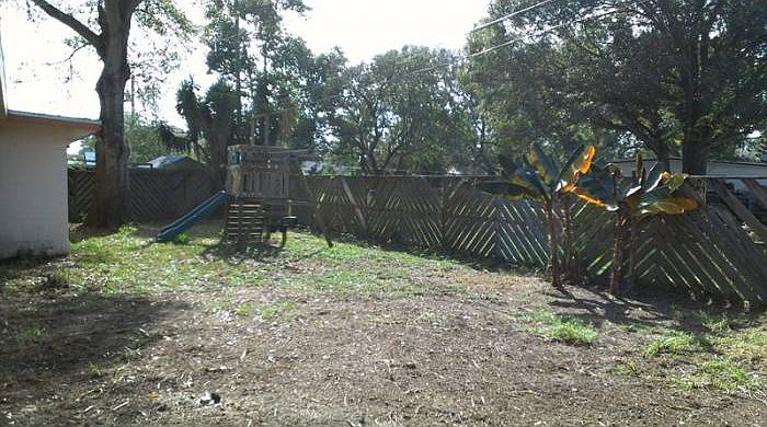 Backyard