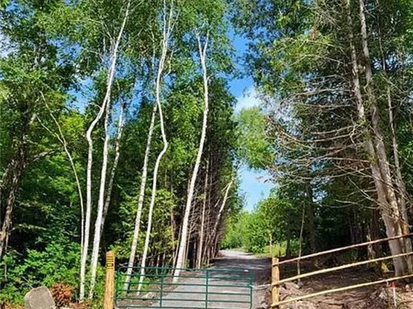 81 Silver Heights Dr, Trent Hills, ON K0L 1Y0