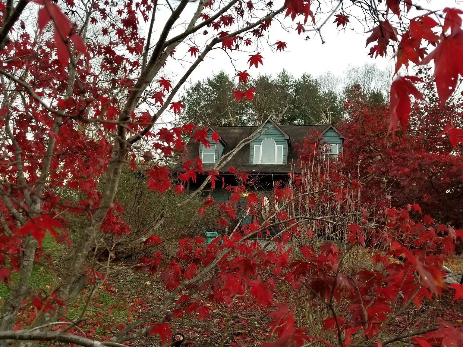 13928 Crest Hill Rd — Photo 2