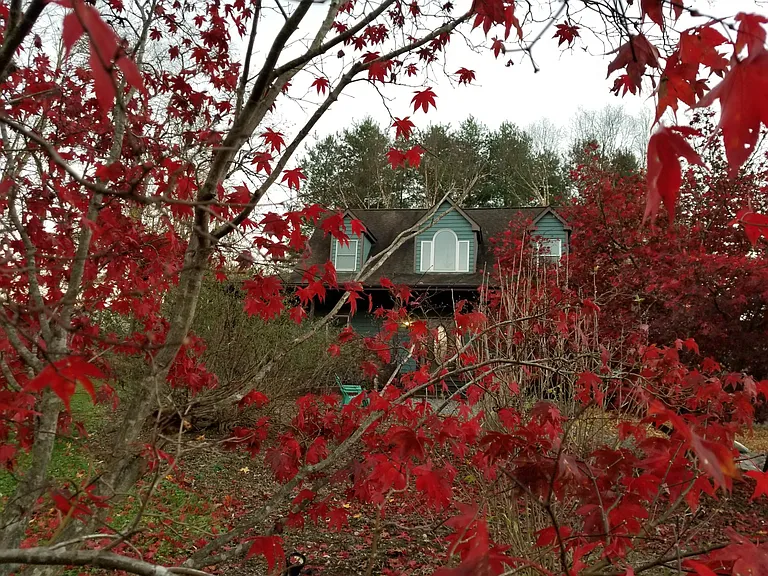 13928 Crest Hill Rd — Photo 6