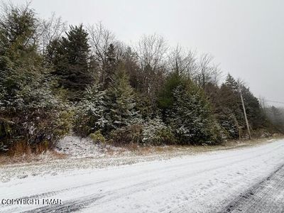 LOT 102 Minsi Trl W, Long Pond, PA, 18334