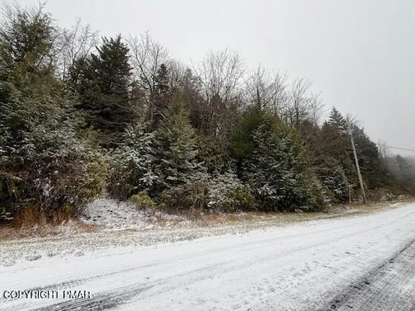 LOT 102 Minsi Trl W, Long Pond, PA 18334