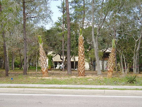 2nd view from the road