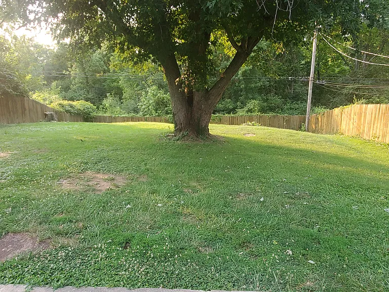 3718 Autumn Rd — Photo 5