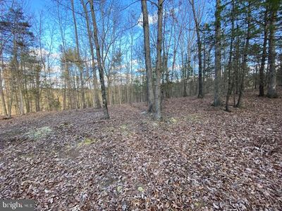 24 Slate Rock Pass Rd, Wardensville, WV, 26851