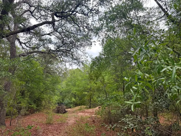 0 Indian Trl, Blackshear, GA 31516
