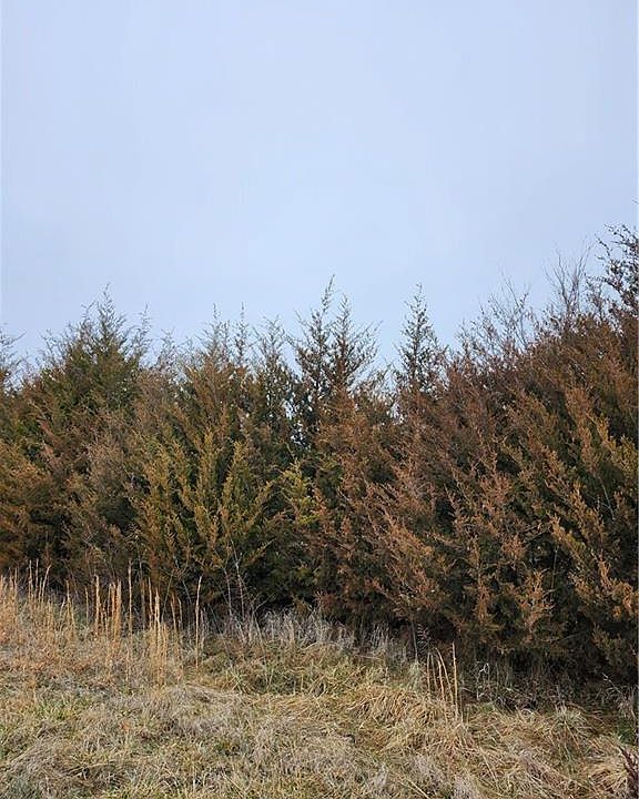 1st image of 37 Silver Fox Trl