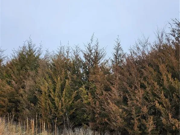 37 Silver Fox Trl, Linn Valley, KS 66040