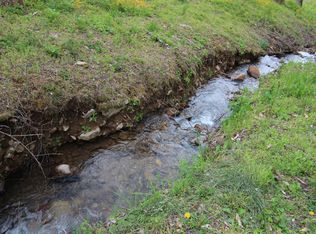 000 Pandora Fork Ln, Butler, TN 37640