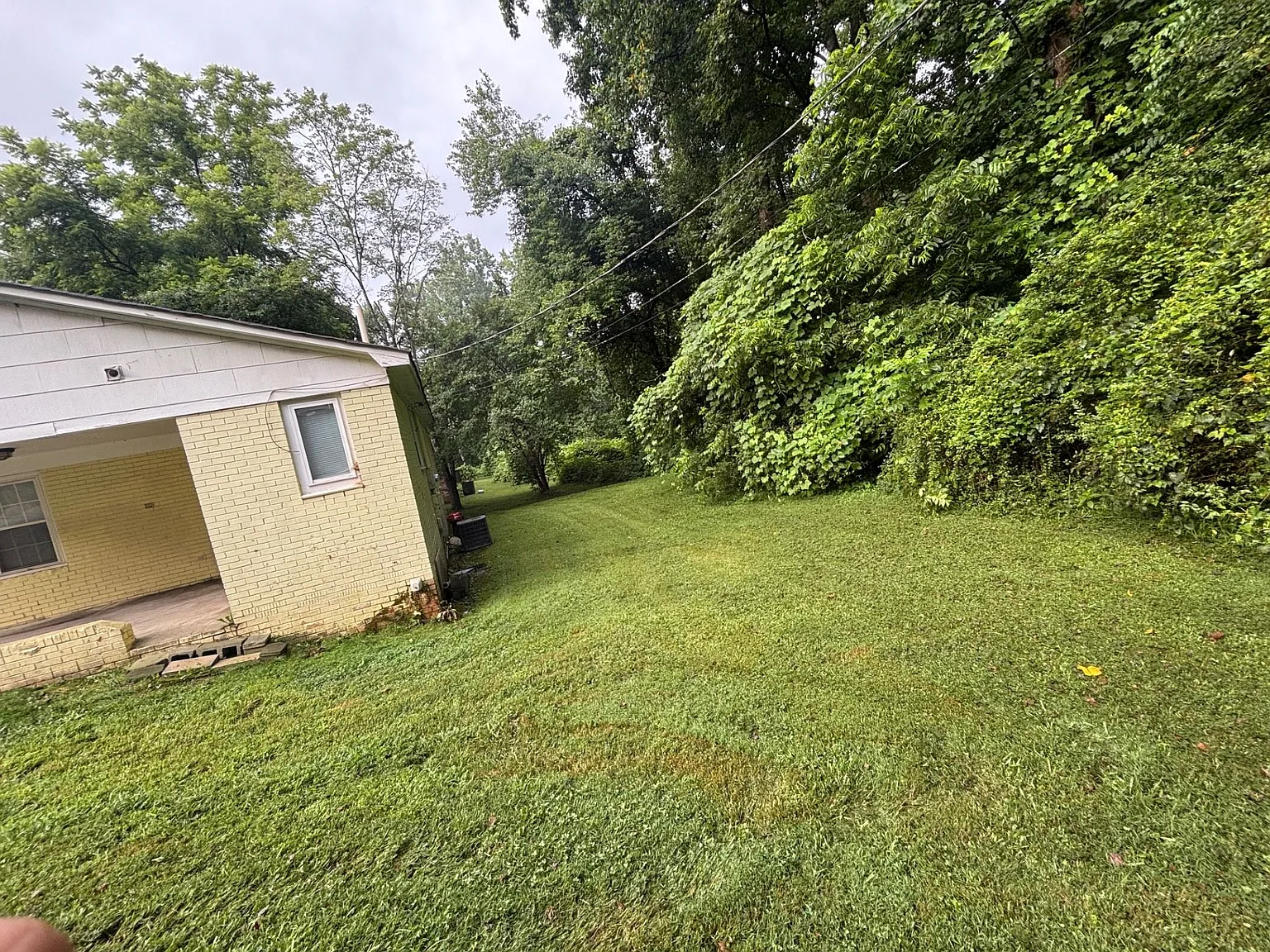 102 Pindal — Photo 4