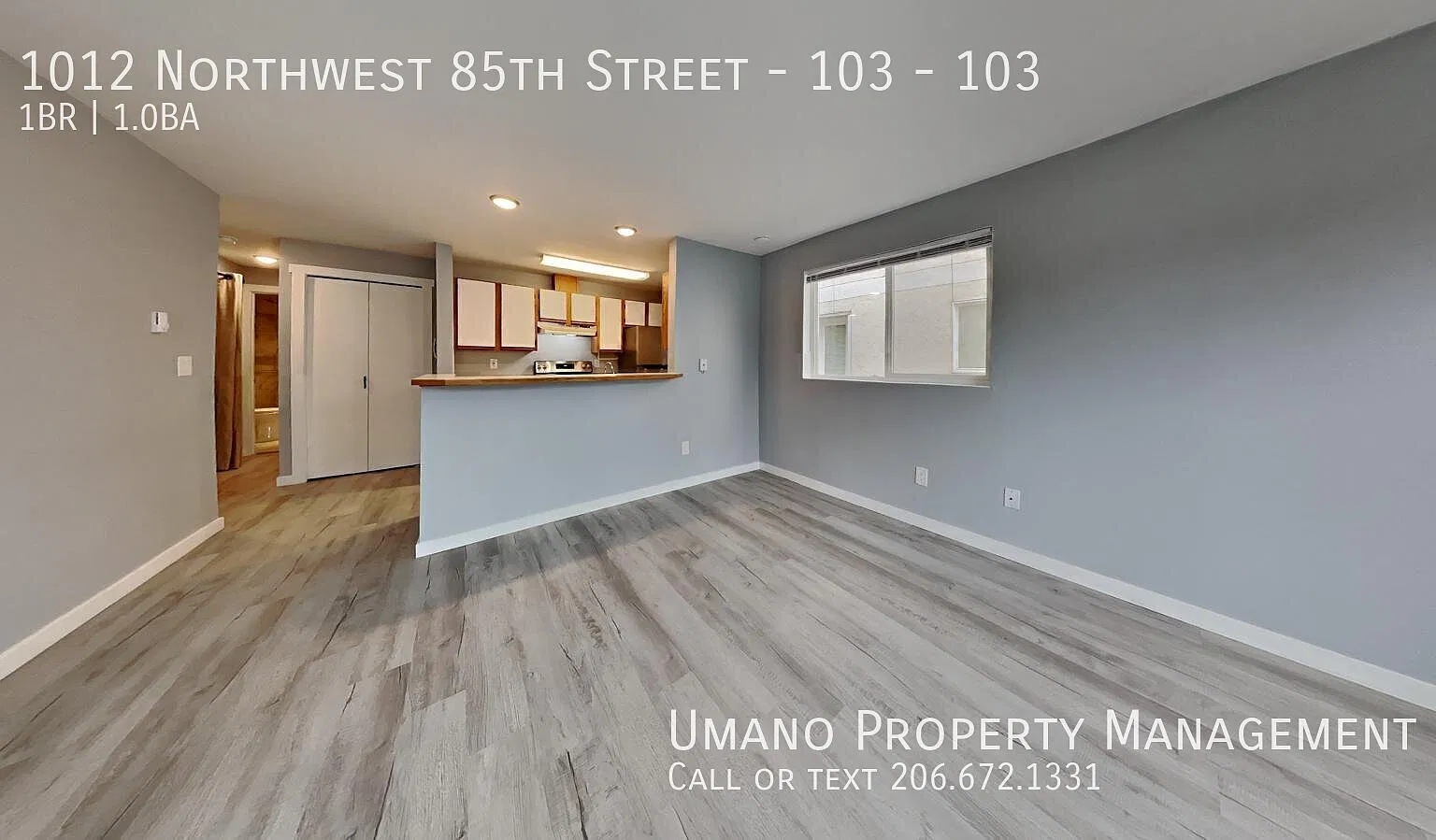 1 bed, 1.0 bath, 587 sqft, $1,595 — Photo 2