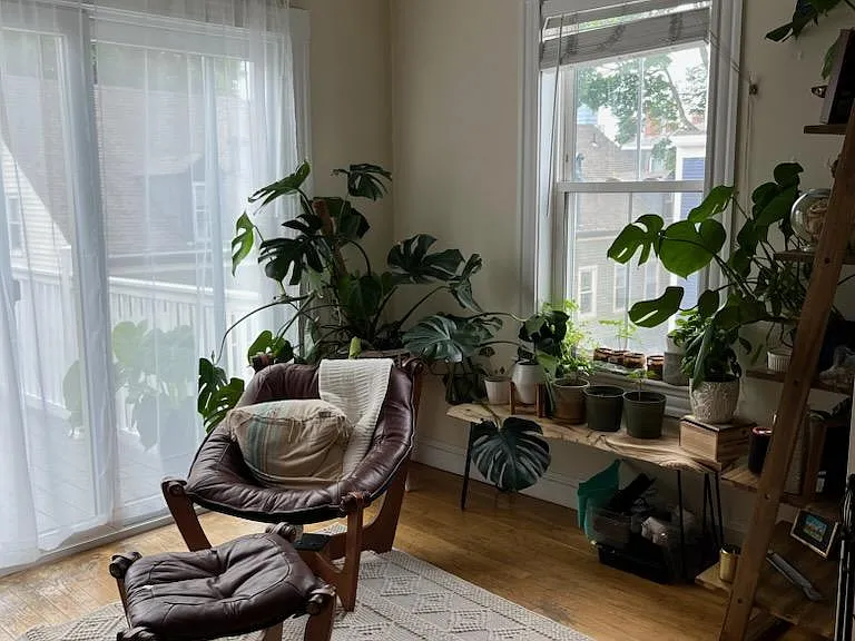 17 Elm St #3 — Photo 6