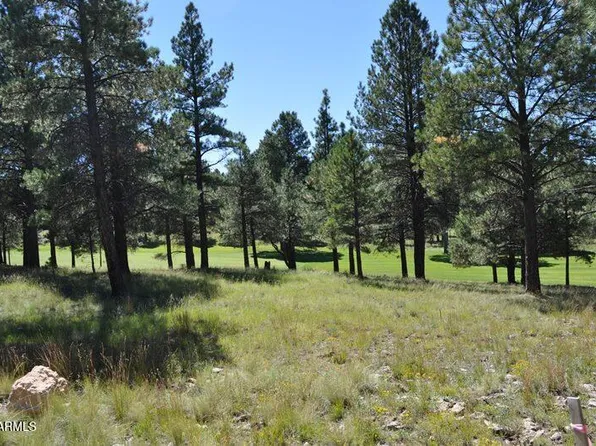 2900 S Solitaires Canyon Drive #345, Flagstaff, AZ 86005