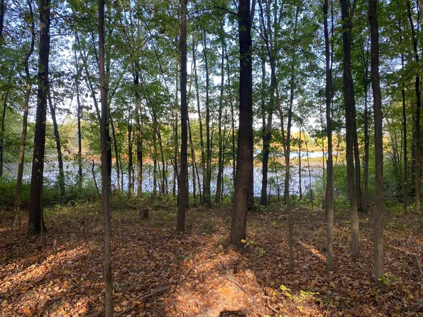 9540 Vincent Ave SE, Alto, MI 49302