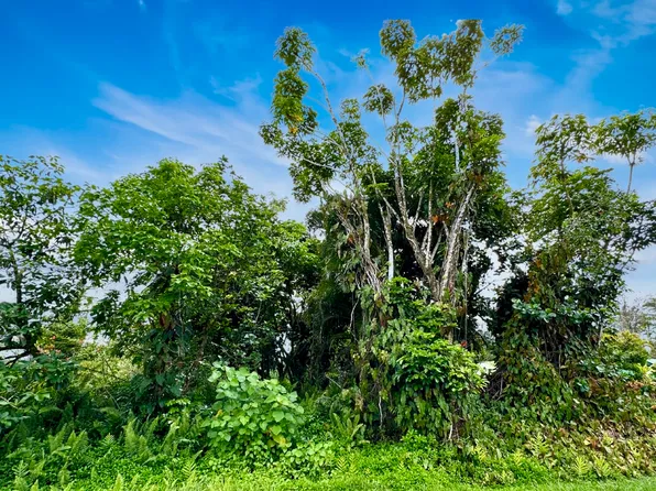 15-2730 N Maikoiko St Lot 14, Pahoa, HI 96778