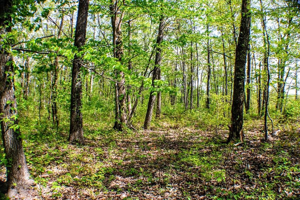 5 Big Ridge Rd, Spring City, TN 37381 Zillow
