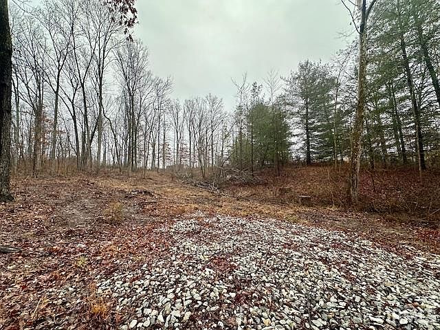 2nd image of State Road 54