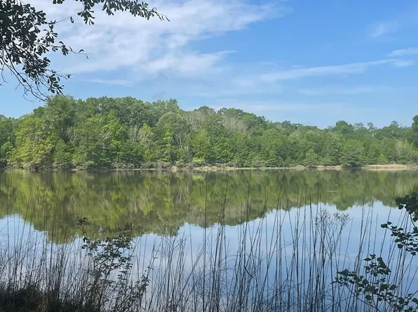 56 Lake Front Rd, Franklin, AL 36444