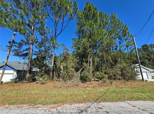 LOT 2 SW 138th St LOT 2, Ocala, FL 34473