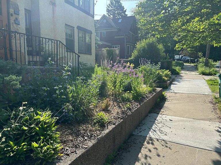 Front yard spring flowers.