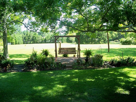 View from kitchen window.  Blue berry bushes at distance on right.