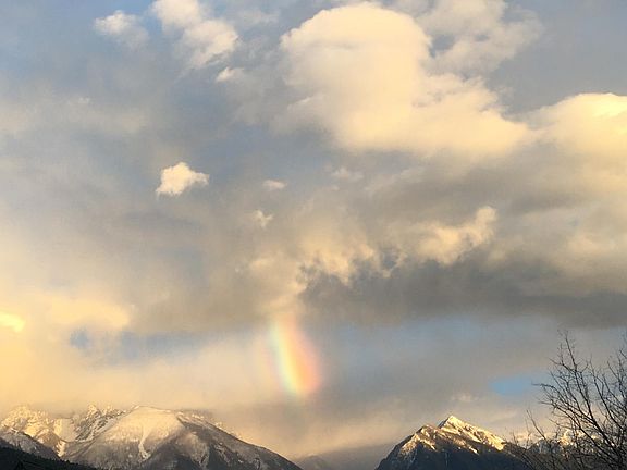 View toward Pine Creek from road below house.