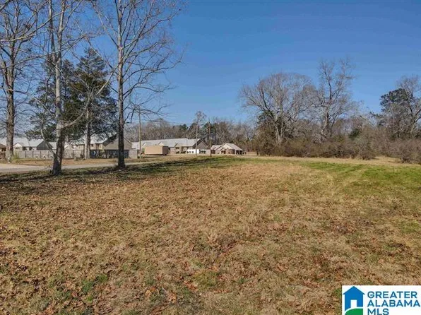807 Yellow Leaf Rd #1, Clanton, AL 35045