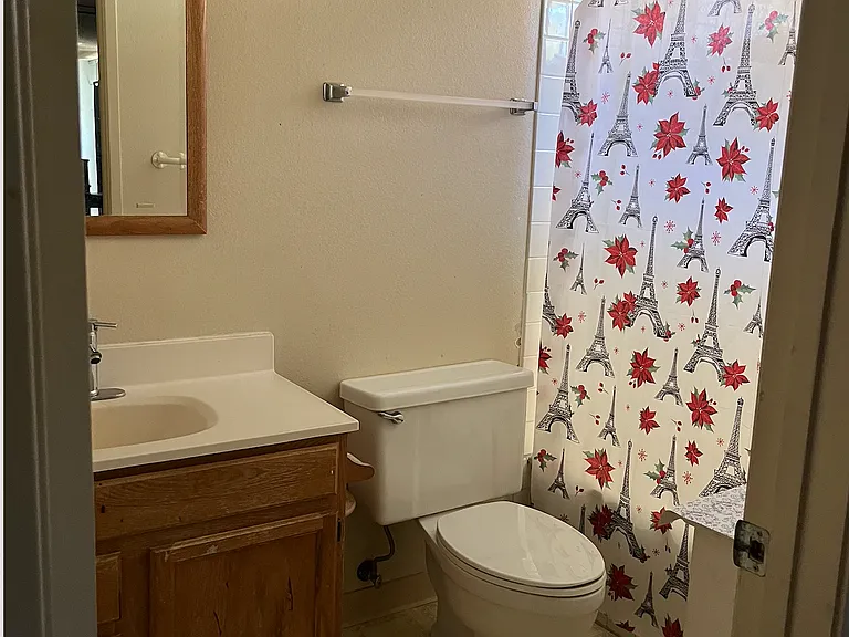 master ensuite bath