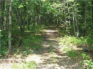 4.25 beautiful acres - walking path down property