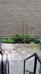 Rented by Best Apartments North Inc