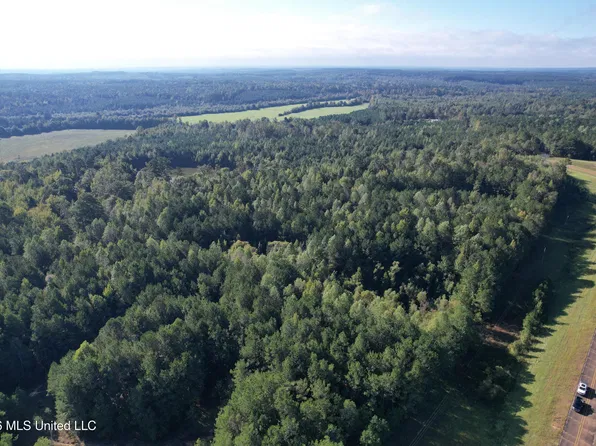 Highway 25, Louisville, MS 39339