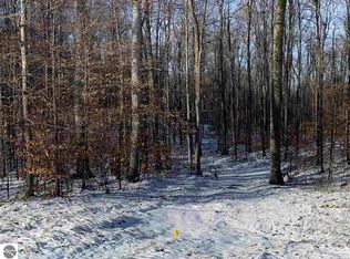 Shanty Creek Rd, Bellaire, MI 49615