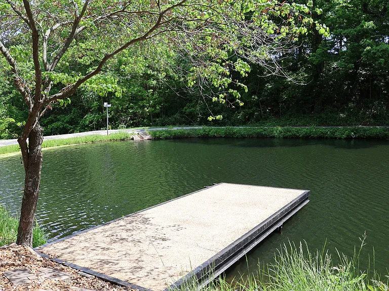 Dock on the water