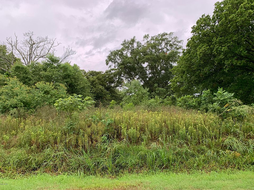 2nd image of 207 Klaby Meaux Rd