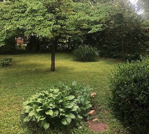 Large fenced in back yard.