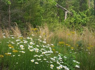 2222 Rafter Rd, Tellico Plains, TN 37385