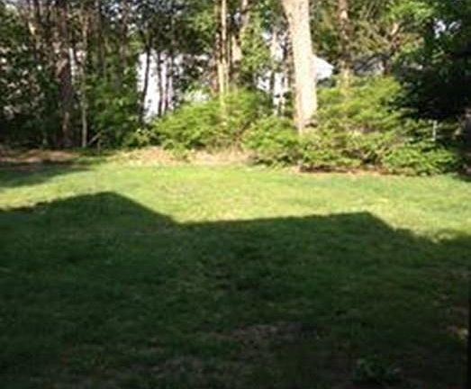 2nd image of 31 Myrtle St #1