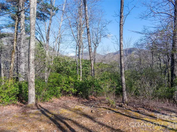 Trp 1 Cardinal Dr W, Lake Toxaway, NC 28747