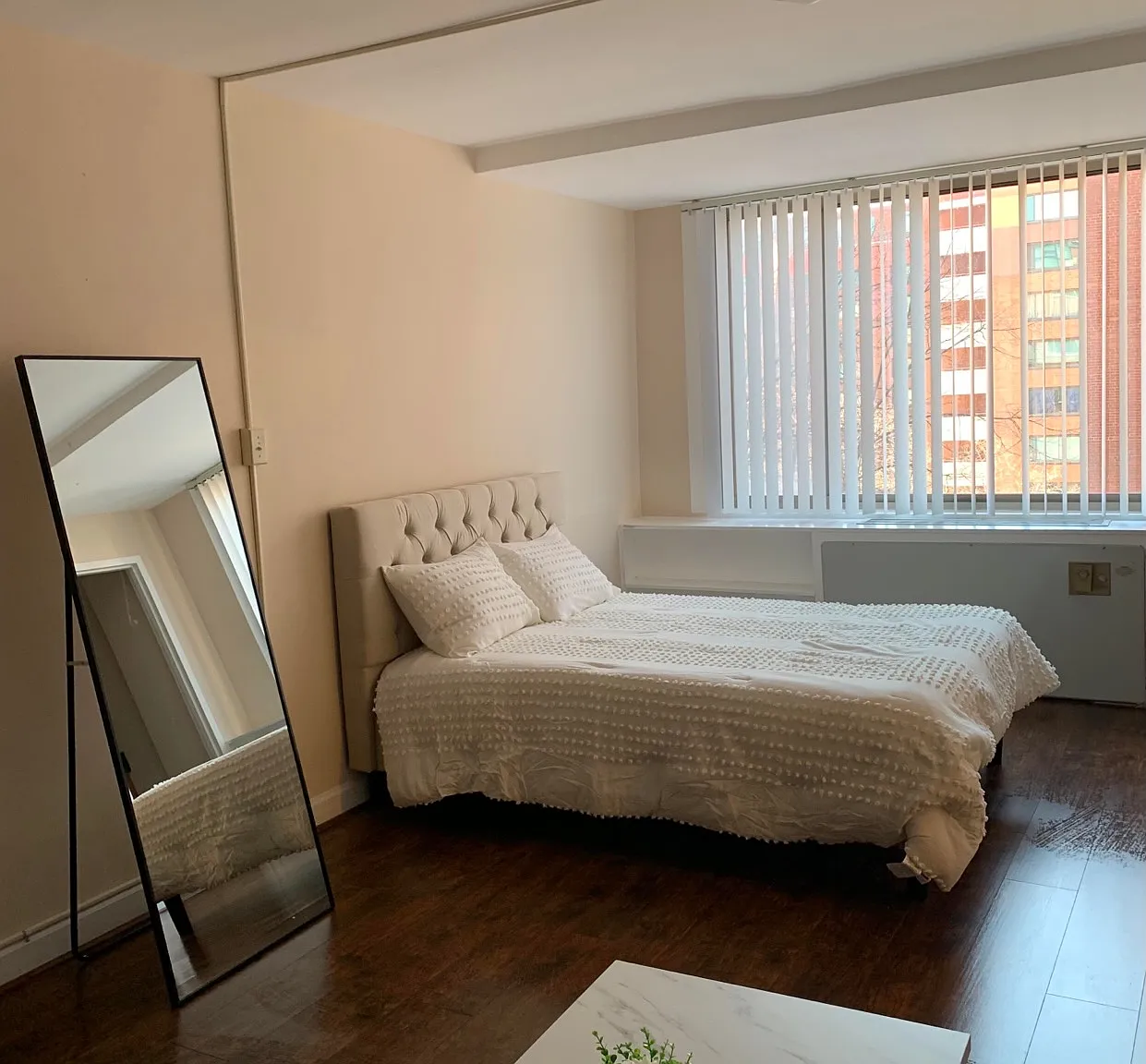 Studio, 378 sqft, $1,600 — Photo 3