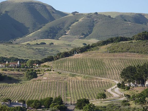 View from deck looking NE
