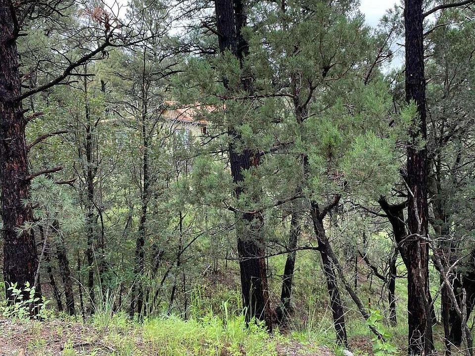 2nd image of L78-81 E Redwood Dr