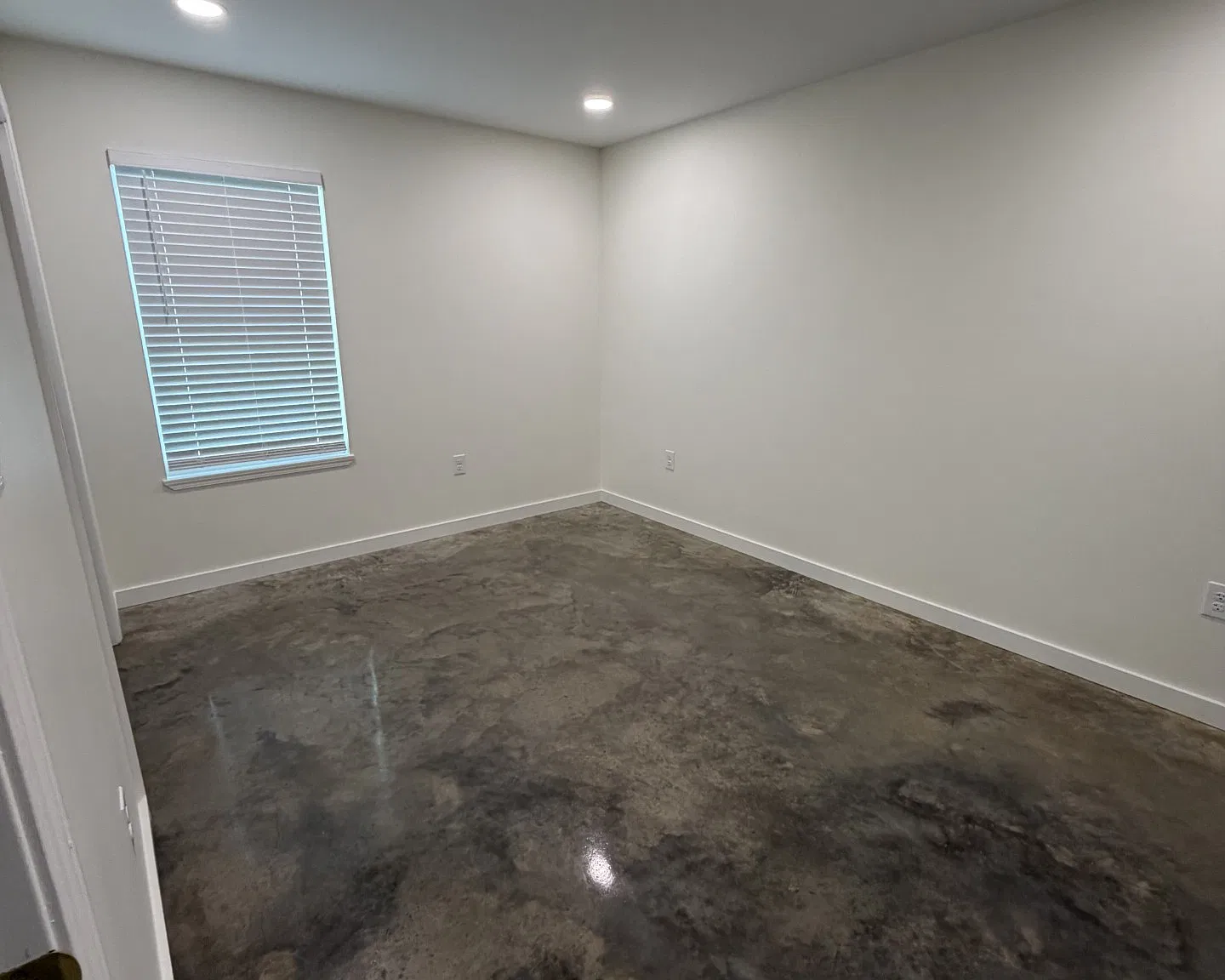 2 bed, 800 sqft, $1,350 — Photo 3
