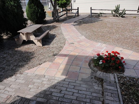 Side Yard, with more flowers