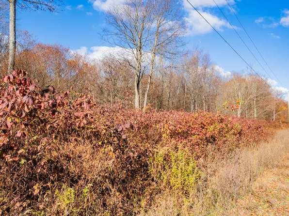 Parc 30 Glory Ridge Rd, Shunk, PA 17768