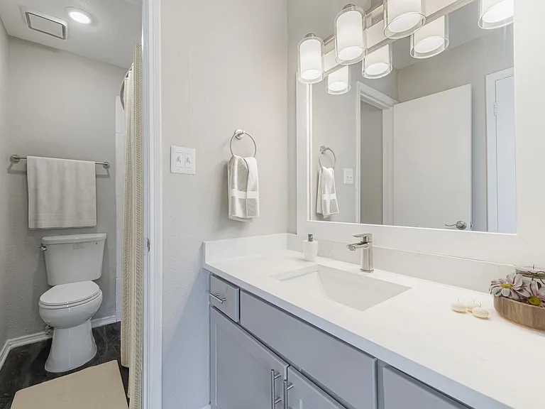 Veridian at Clear Lake — Photo 11