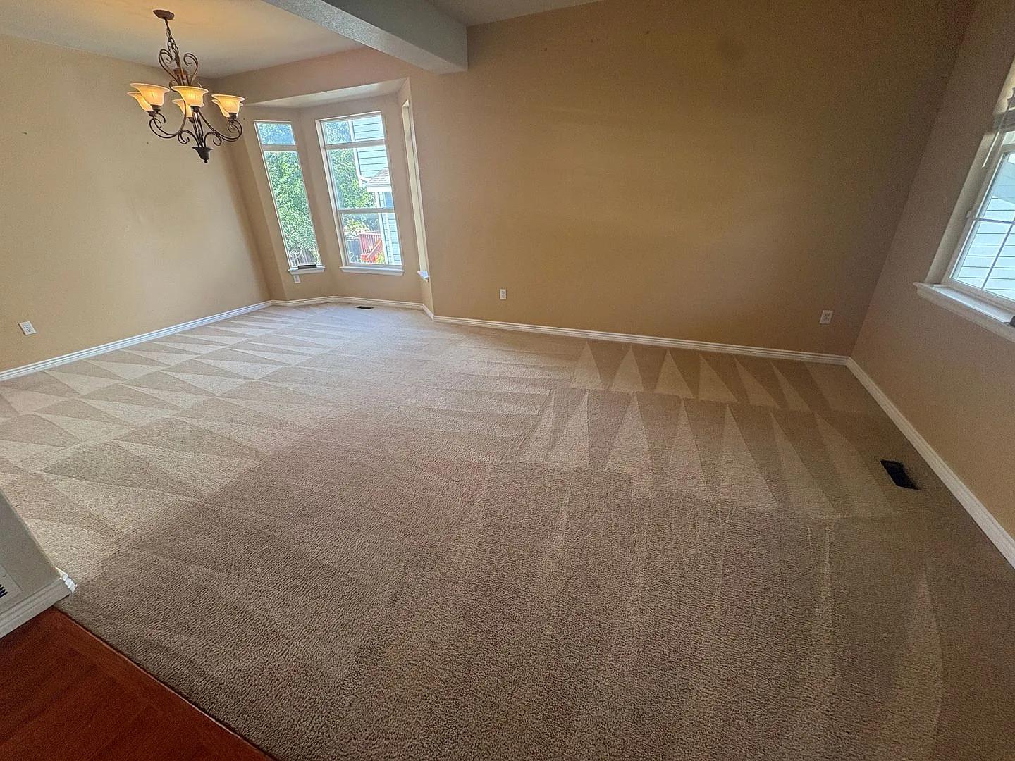 Beautiful 4 Bedroom Home Available in Thornton — Photo 4
