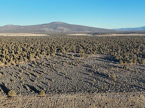 3rd image of Xx Re Rock Rd