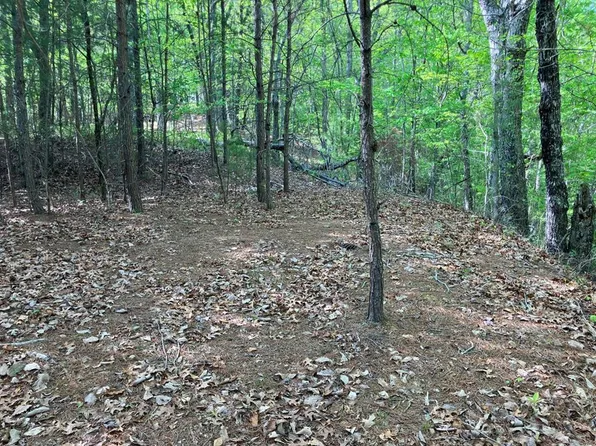 24 Mission Ridge Ct Lot 24, Hayesville, NC 28904